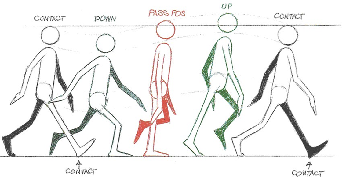 An example walk cycle ref from the
